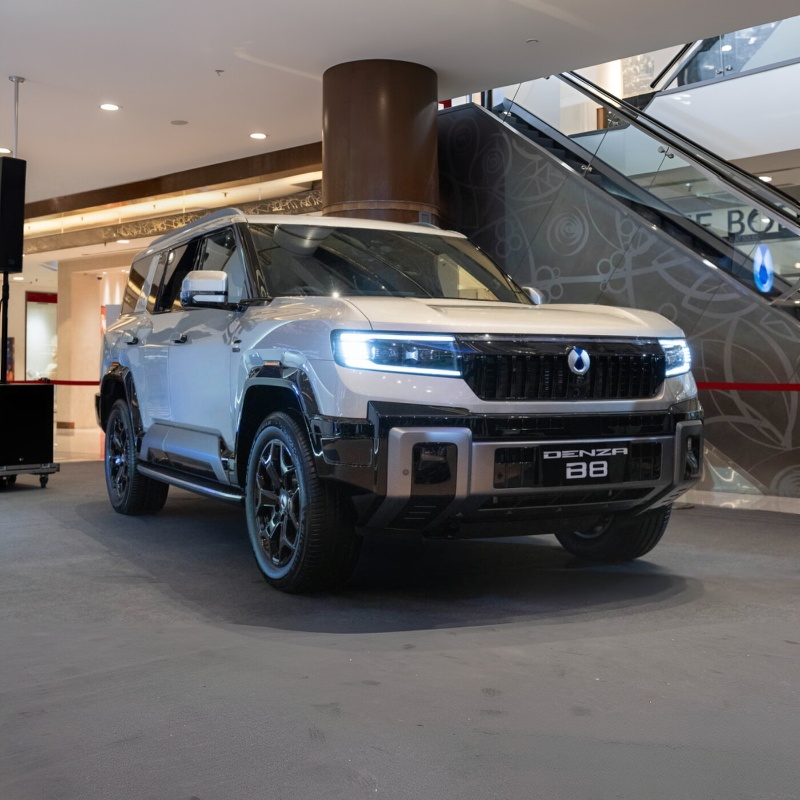 DENZA B8 RHD export from China to Botswana